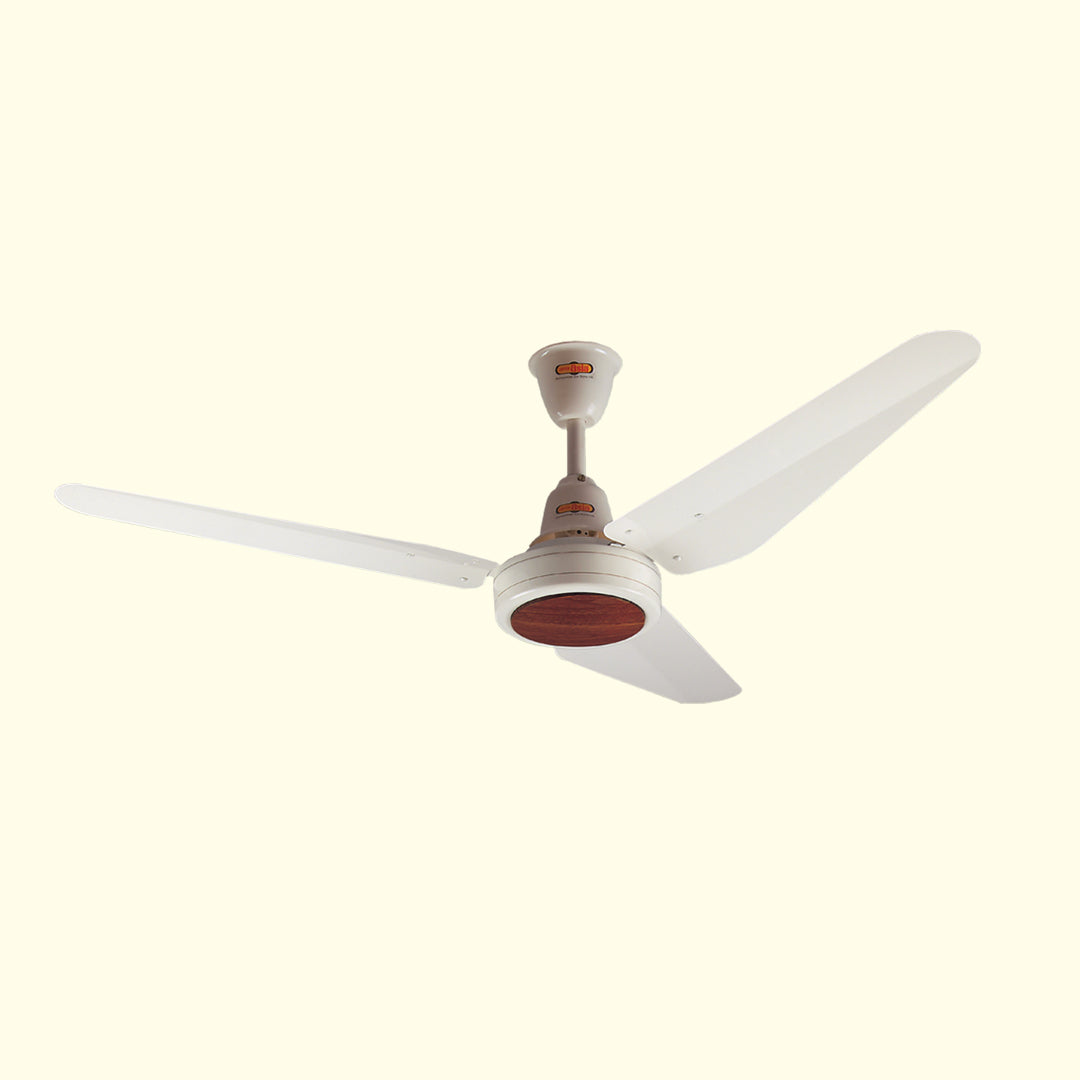 New Classic Fan