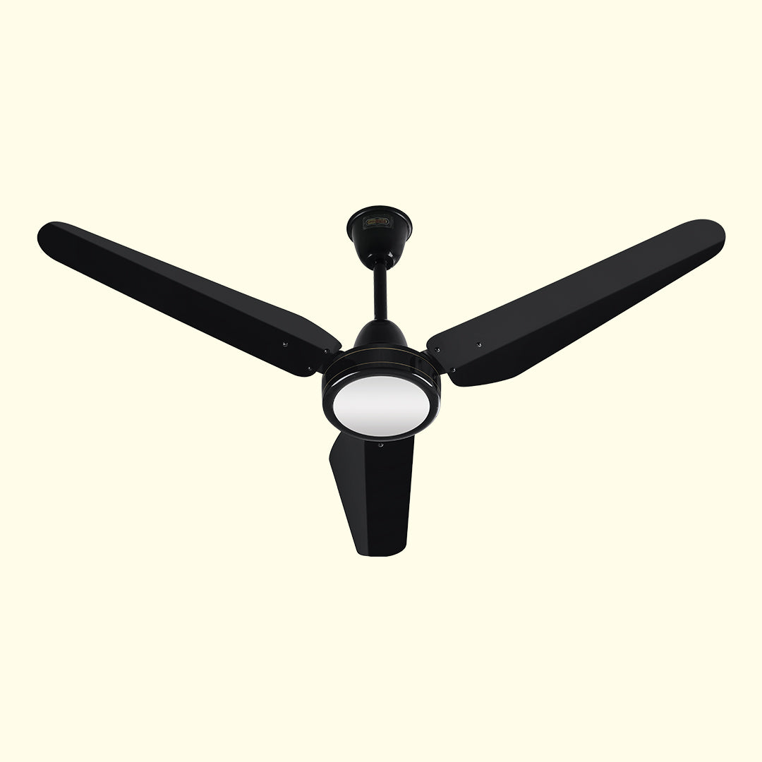 New Classic Fan