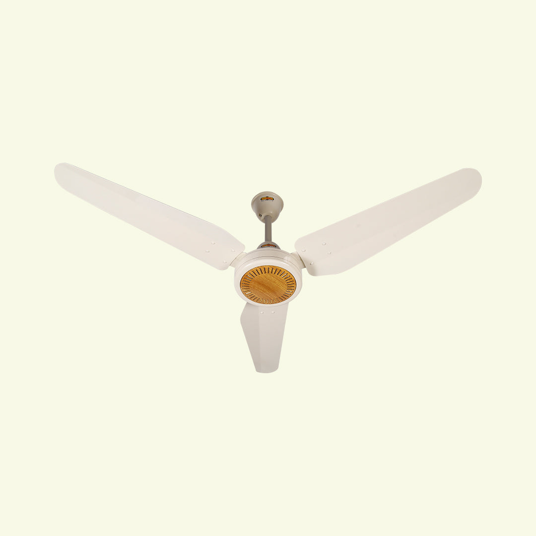 New Classic Fan